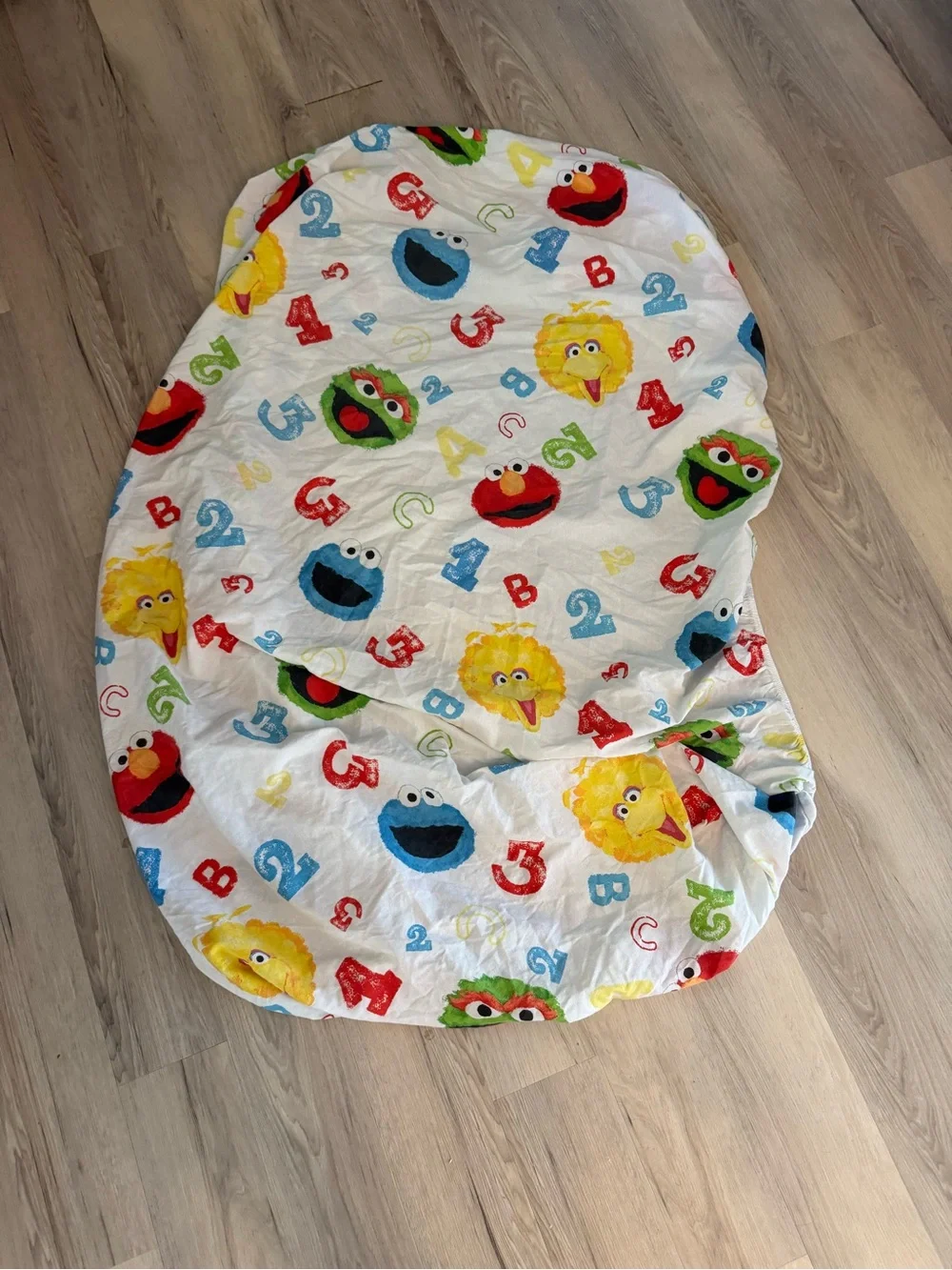 Vintage Sesame Street twin sheet